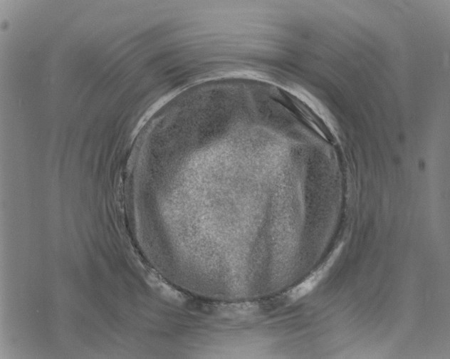 X0000076351001200610161754