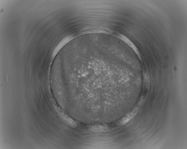 X0000076351002200610161754