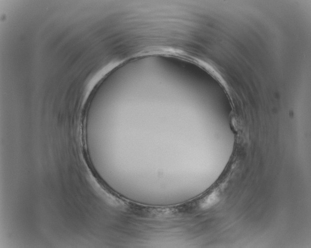 X0000076351003200610161754