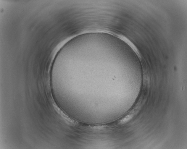 X0000076351004200610161754