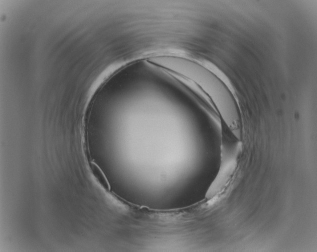 X0000076351005200610161754