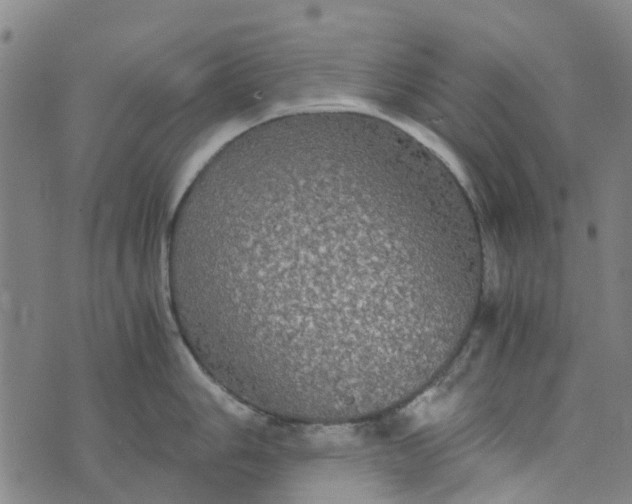 X0000076351006200610161754