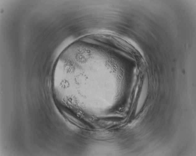 X0000076351007200610161754