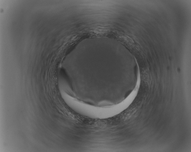 X0000076351009200610161753