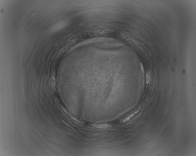 X0000076351011200610161753