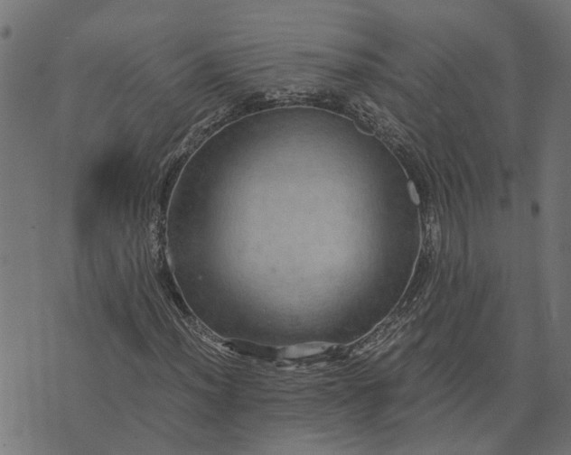 X0000076351012200610161753