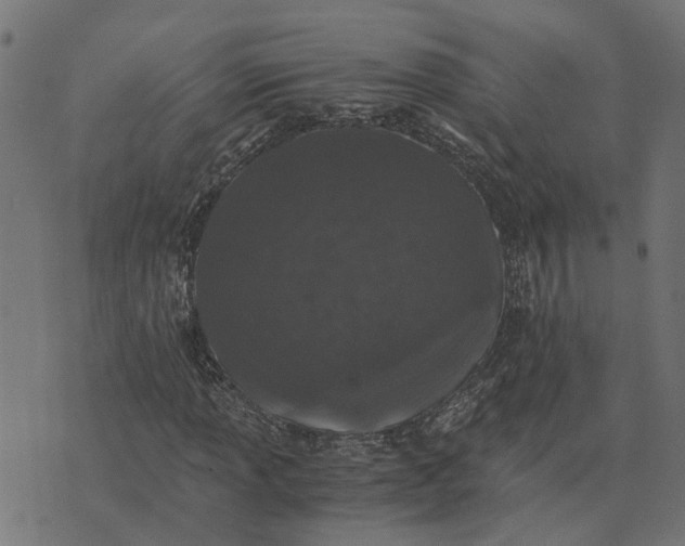 X0000076351013200610161753