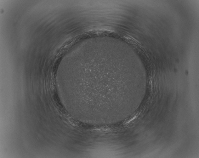 X0000076351014200610161753