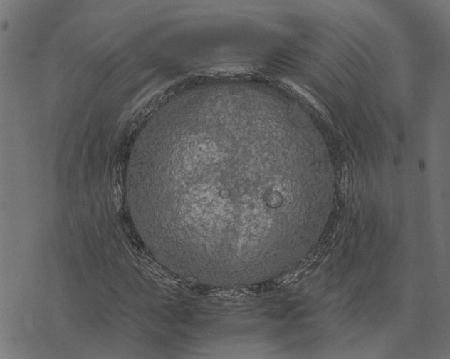 X0000076351015200610161753