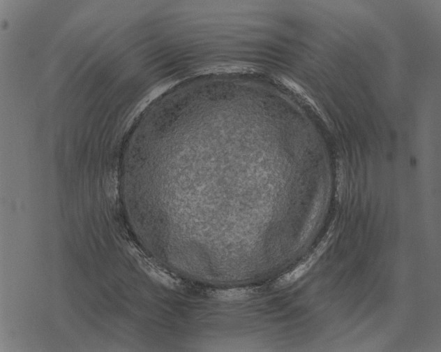 X0000076351017200610161753