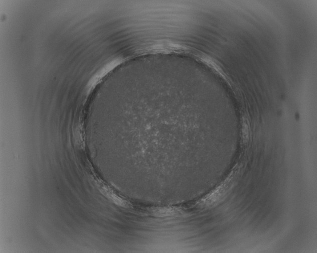 X0000076351018200610161753