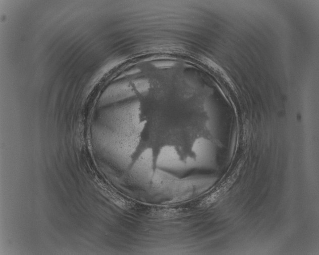 X0000076351019200610161753