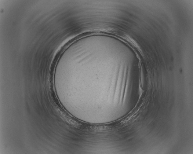 X0000076351020200610161753