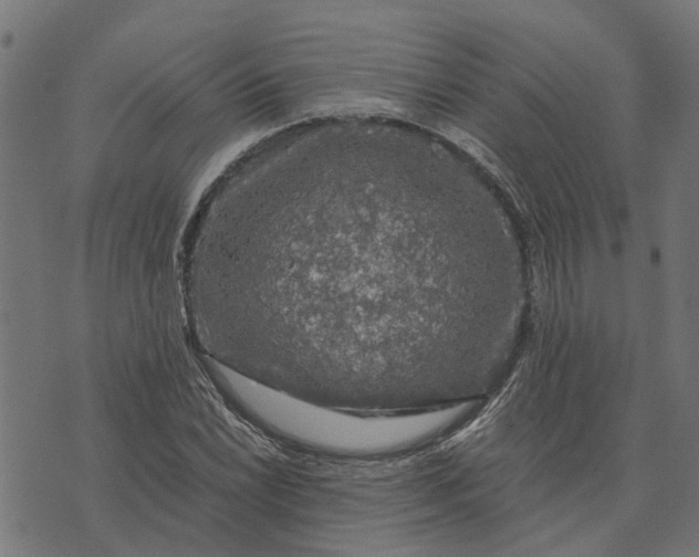 X0000076351022200610161753