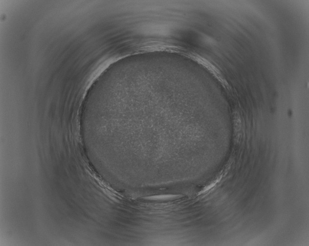 X0000076351023200610161753