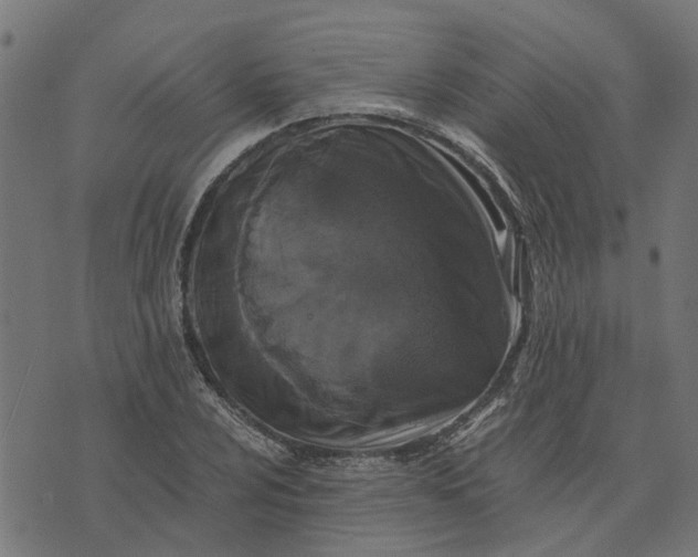 X0000076351024200610161753