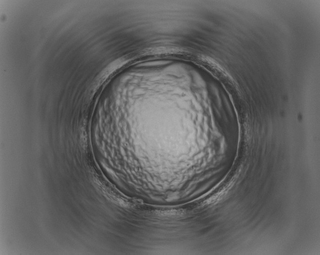 X0000076351025200610161753