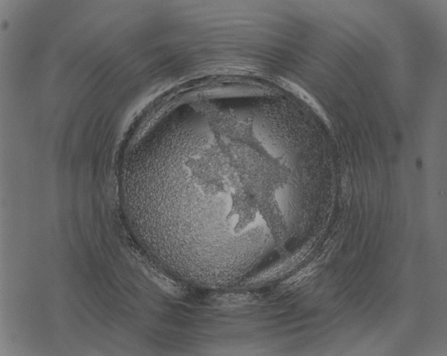 X0000076351027200610161753