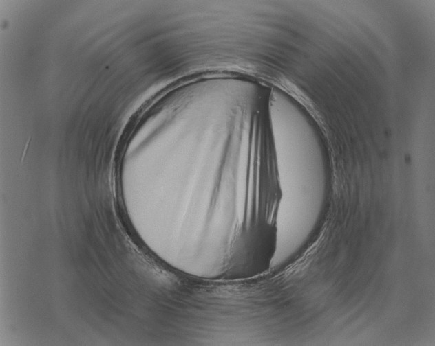 X0000076351028200610161753