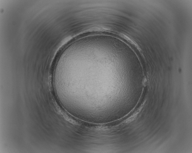 X0000076351029200610161753