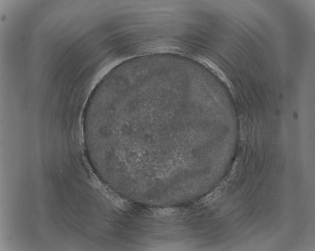 X0000076351031200610161754