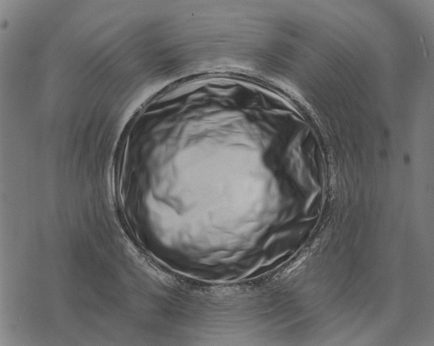 X0000076351032200610161754