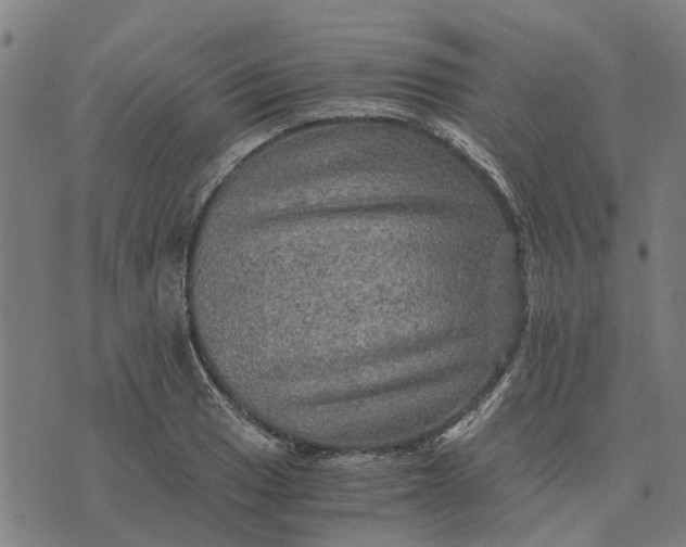 X0000076351033200610161754