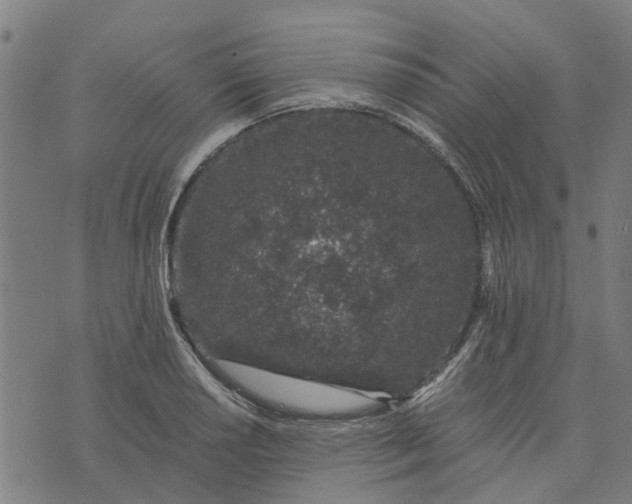 X0000076351034200610161754