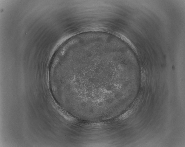 X0000076351035200610161754