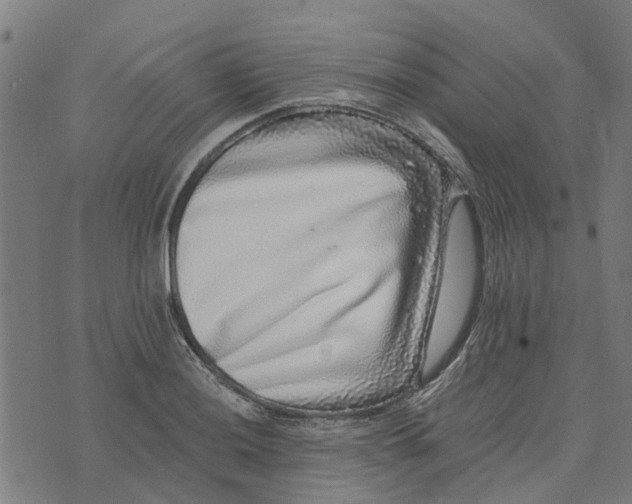 X0000076351036200610161754