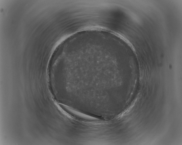 X0000076351037200610161754