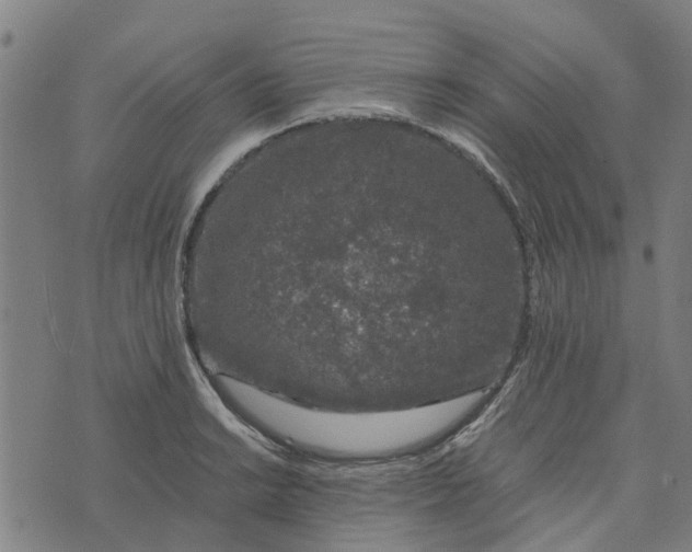 X0000076351038200610161754