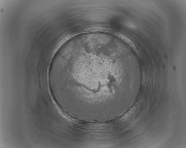 X0000076351039200610161754