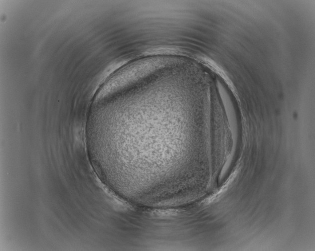 X0000076351041200610161754