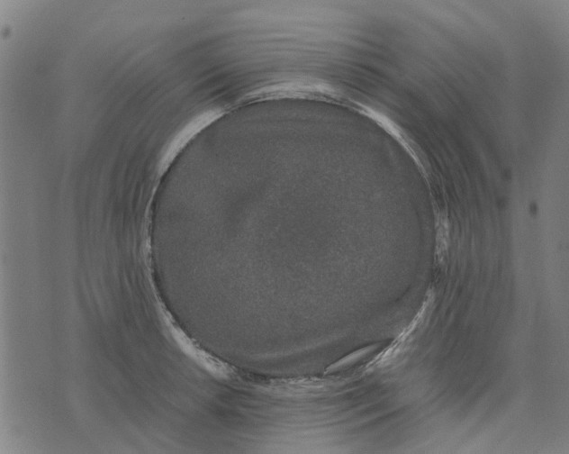 X0000076351042200610161754