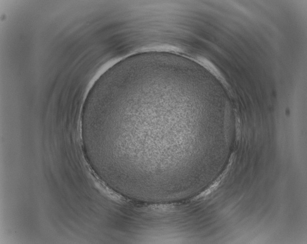 X0000076351044200610161754