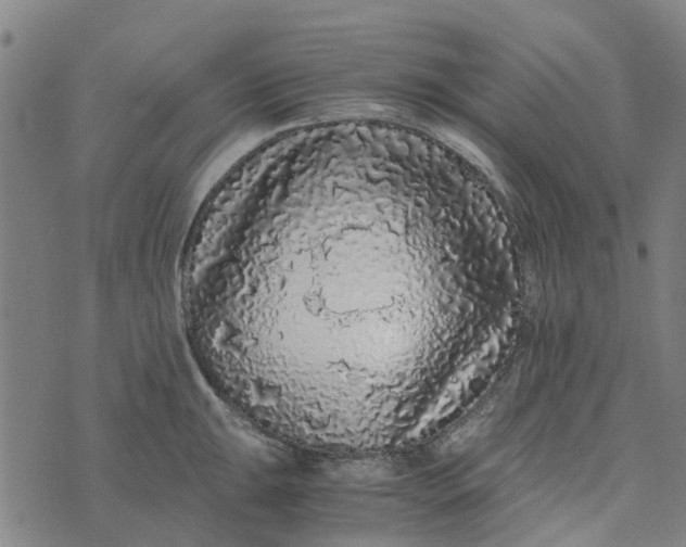 X0000076351047200610161754