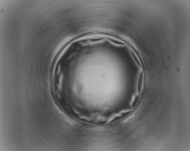 X0000076351048200610161754