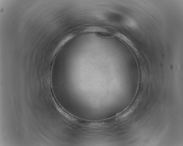 X0000076351049200610161754