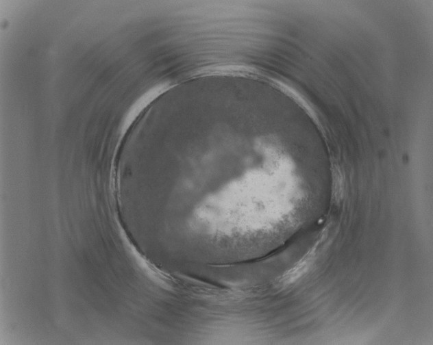 X0000076351050200610161754