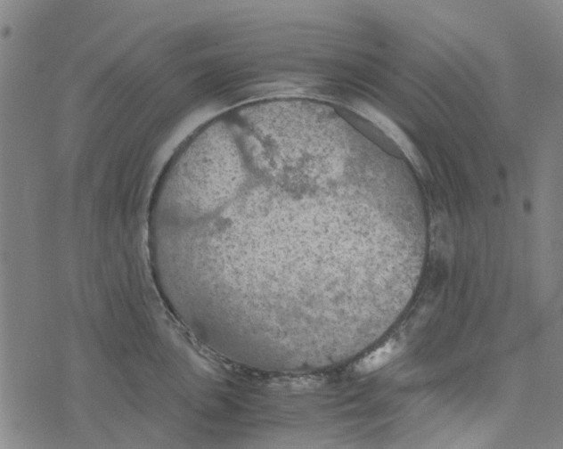 X0000076351051200610161754