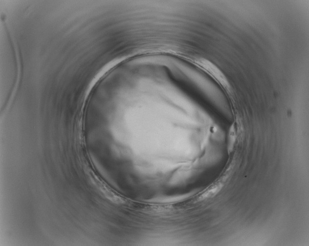 X0000076351052200610161754