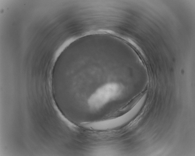 X0000076351054200610161754