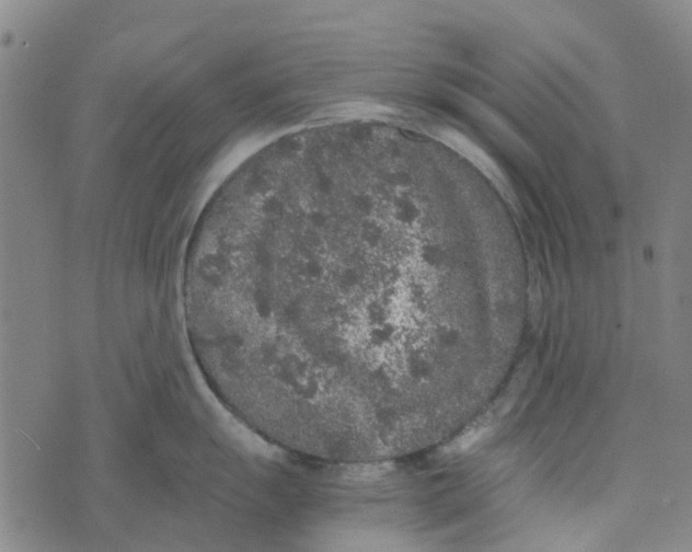 X0000076351055200610161754