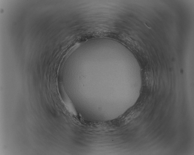 X0000076351057200610161753