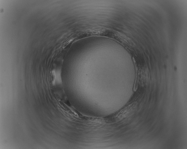 X0000076351058200610161753