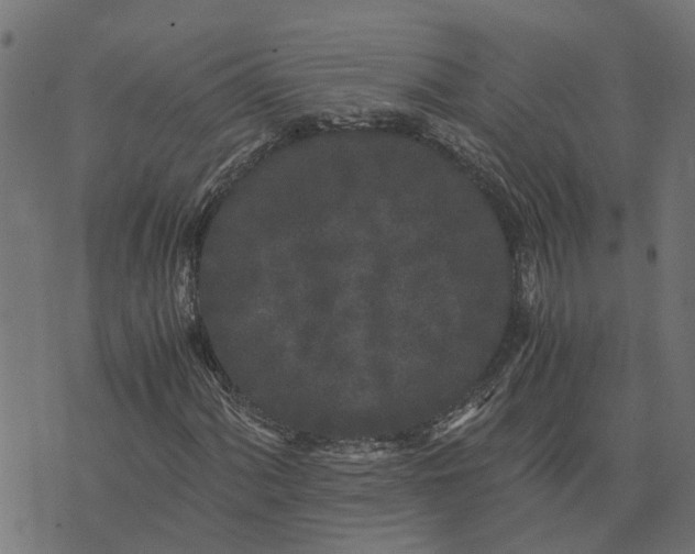 X0000076351060200610161753