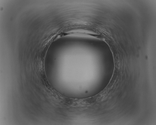 X0000076351061200610161753