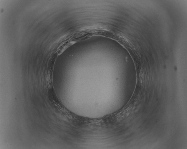 X0000076351062200610161753