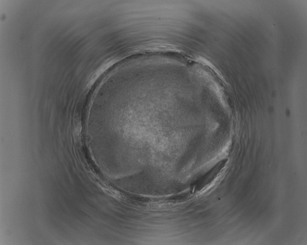 X0000076351065200610161753